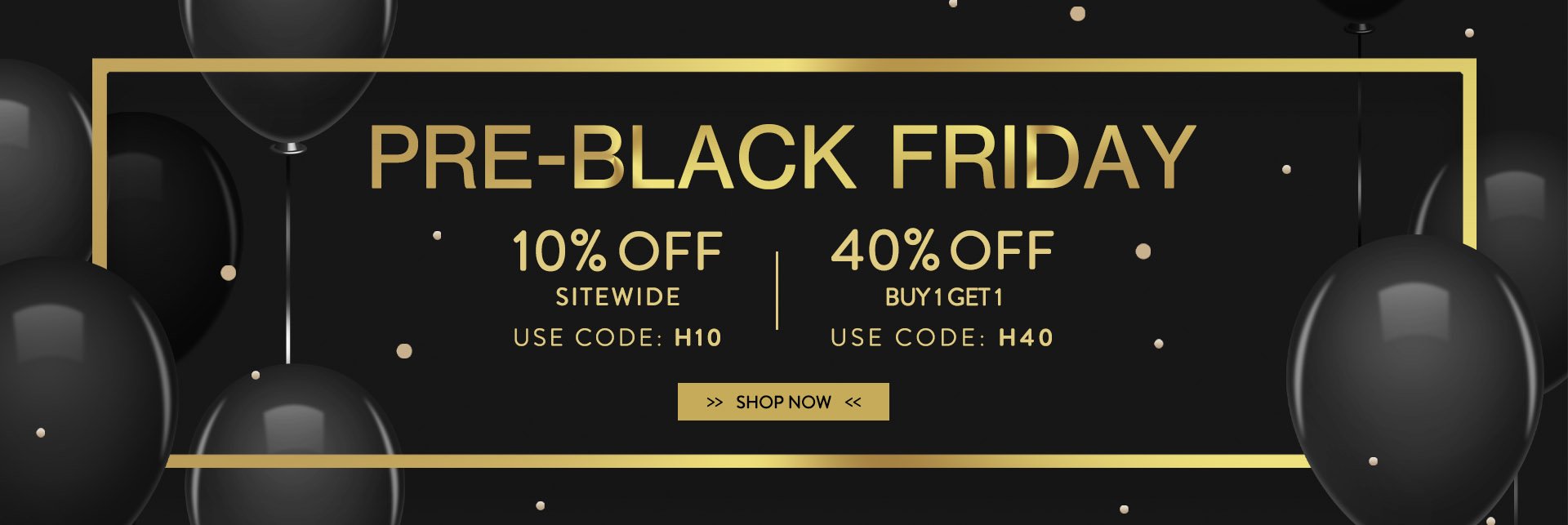 Black Friday Sale