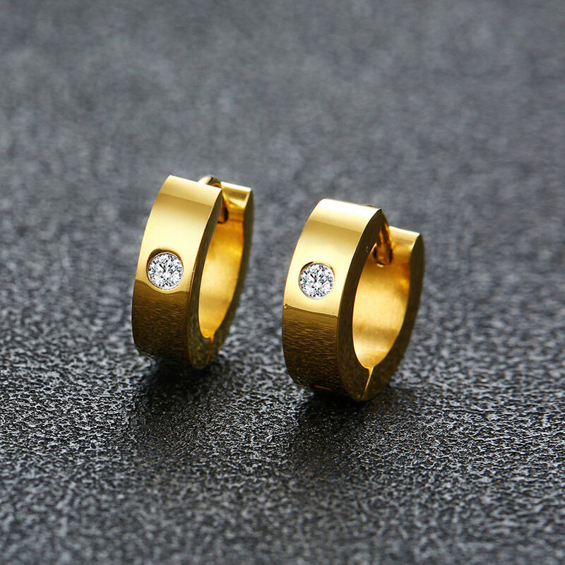 Titanium Earrings