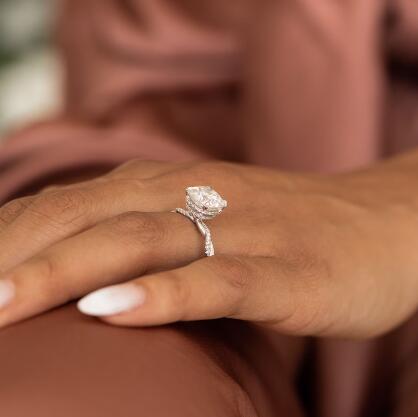 Double Hidden Halo Engagement Ring