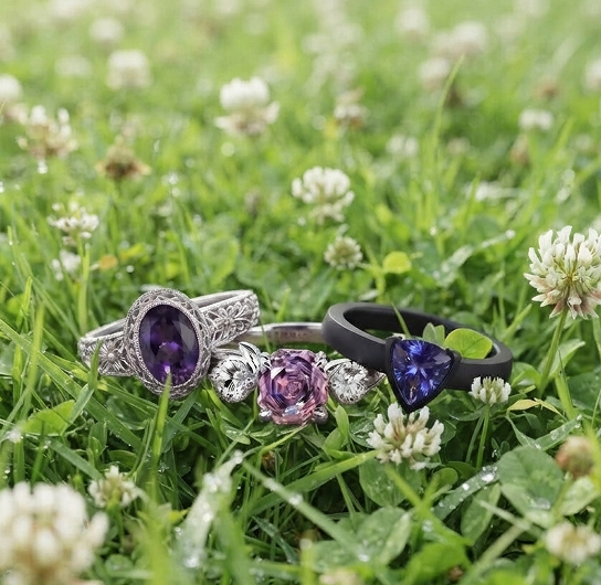 Purple Rings